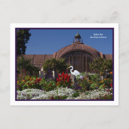 Cartão Postal Balboa Park Botanical Building Egret Flowers Frame
