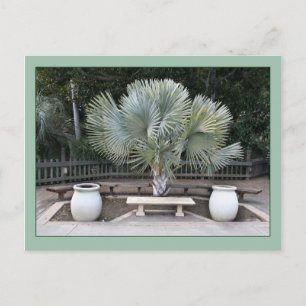 Cartão Postal Balboa Park Scene Reminiscent de Maxfield Parrish