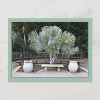 Cartão Postal Balboa Park Scene Reminiscent de Maxfield Parrish