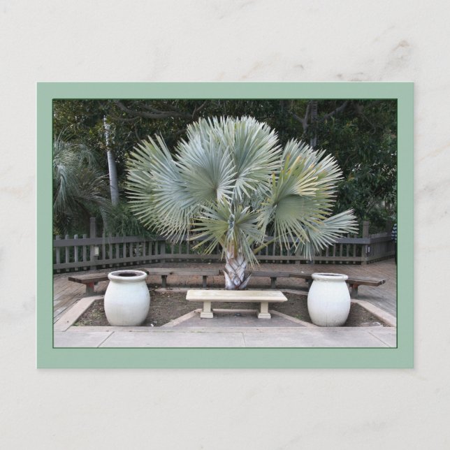 Cartão Postal Balboa Park Scene Reminiscent de Maxfield Parrish (Frente)