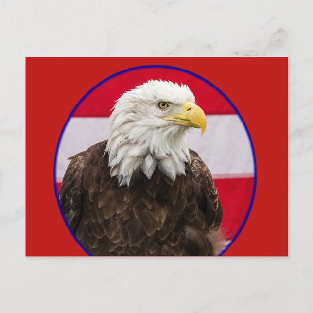 Cartão Postal Bald É Belo (Frente)