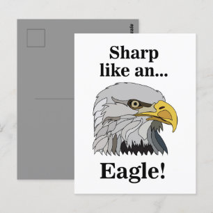 Cartão Postal Bald Eagle