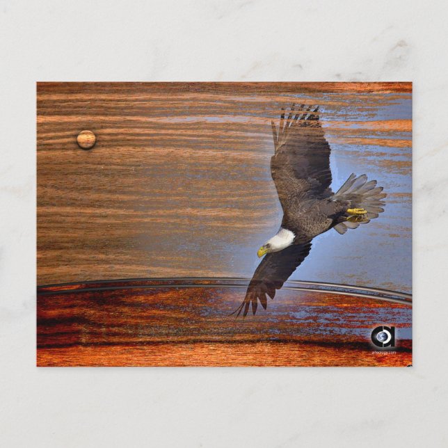CARTÃO POSTAL BALD EAGLE (Frente)