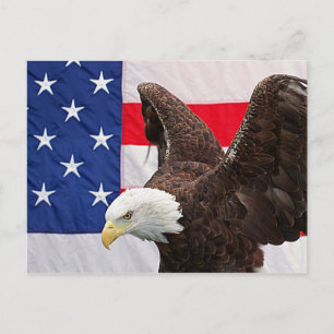 Cartão Postal Bald Eagle com a bandeira americana