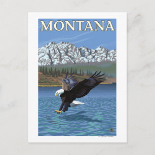 Cartão Postal Bald Eagle Diving - Montana