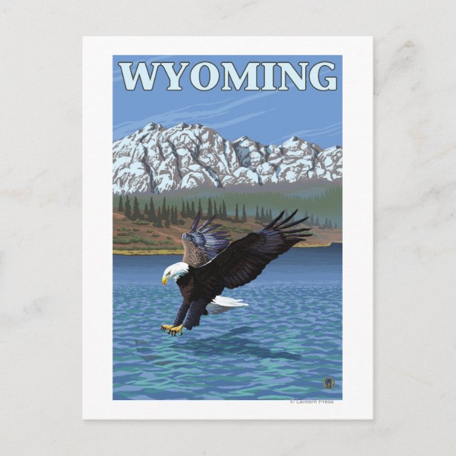 Cartão Postal Bald Eagle Diving - Wyoming (Frente)