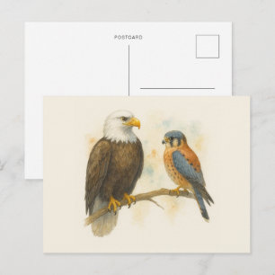 Cartão Postal Bald Eagle e o Raptor americano Kestrel