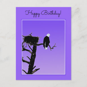 Cartão Postal Bald Eagle em Sunset - Arte original sobre a vida