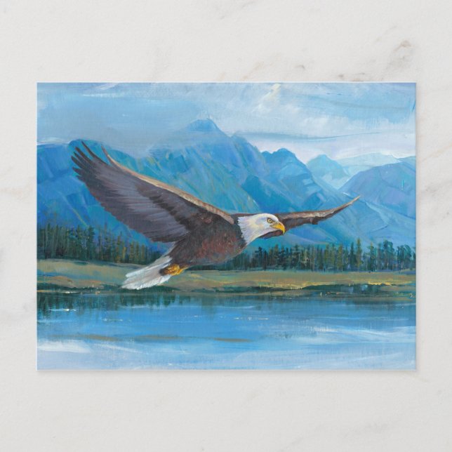 Cartão Postal Bald Eagle Soaring (Frente)