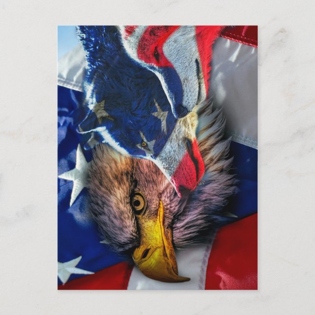 Cartão Postal Bald Eagle Wolf American Flag (Frente)