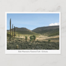 Bale Mountain Etiópia