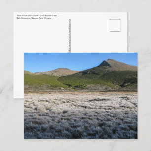 Cartão Postal Bale Mountain Etiópia
