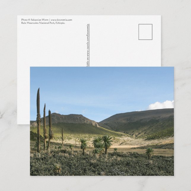 Cartão Postal Bale Mountain Etiópia (Frente/Verso)