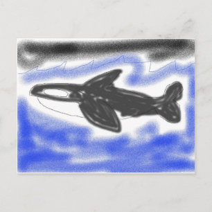 Cartão Postal Baleia Assassina