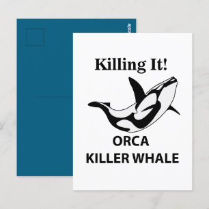 Cartão Postal Baleia Assassina Orca Matando de Rir