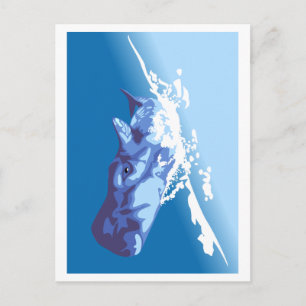 Cartão Postal Baleia Azul