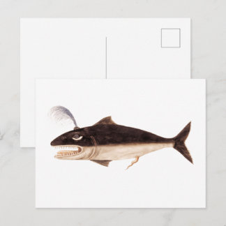 Cartão Postal Baleia, Cetus (1596-1610)