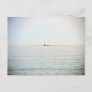 Cartão Postal Baleia de mergulho