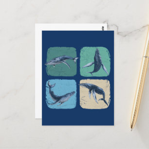 Cartão Postal Baleia Humpback Engraçada Observando