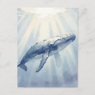 Cartão Postal Baleia Jubarte Aquarela Oceano