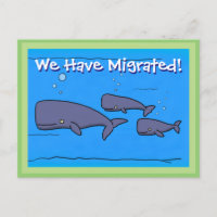 Baleias bonitas que mudamos de endereço