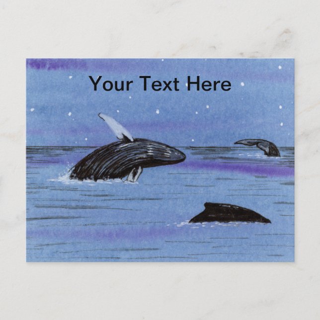 Cartão Postal Baleias Jubarte (Frente)