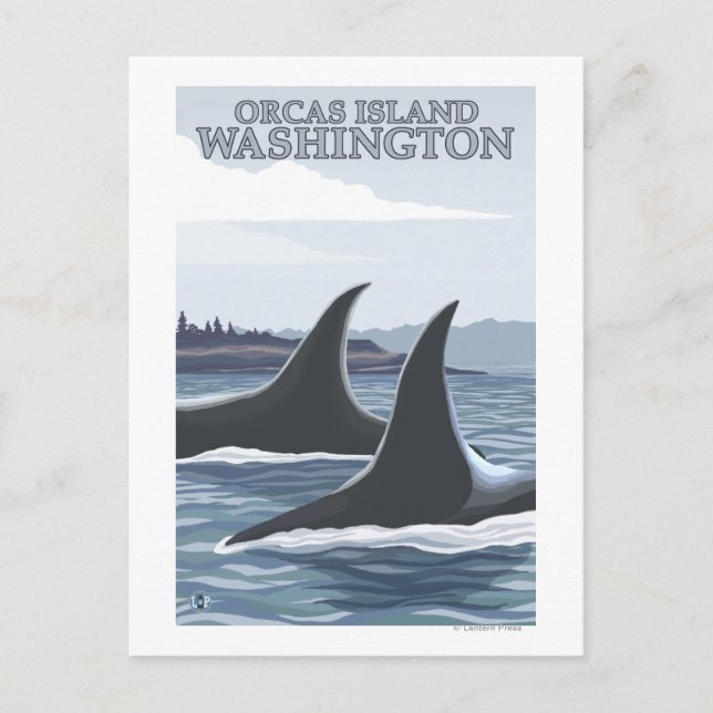 Cartão Postal Baleias Orca #1 - Ilha Orcas, Washington (Frente)