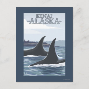 Cartão Postal Baleias Orca #1 - Kenai, Alasca