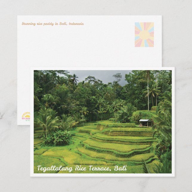Cartão Postal Bali Rice Terraces Scenic Travel Postcard (Frente/Verso)