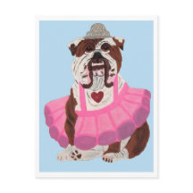 Ballerina Bulldog