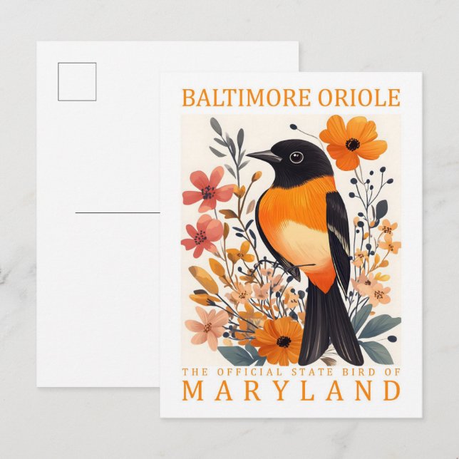 Cartão Postal Baltimore Oriole Bird de Maryland EUA Viagem (Frente/Verso)