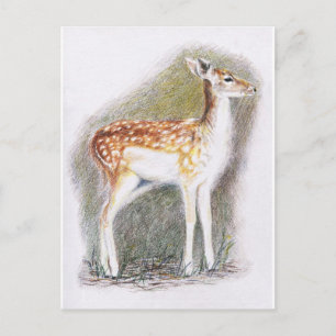 Cartão Postal Bambi