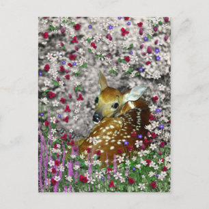 Cartão Postal Bambina, a Fawn de Altura Branca em Flores I