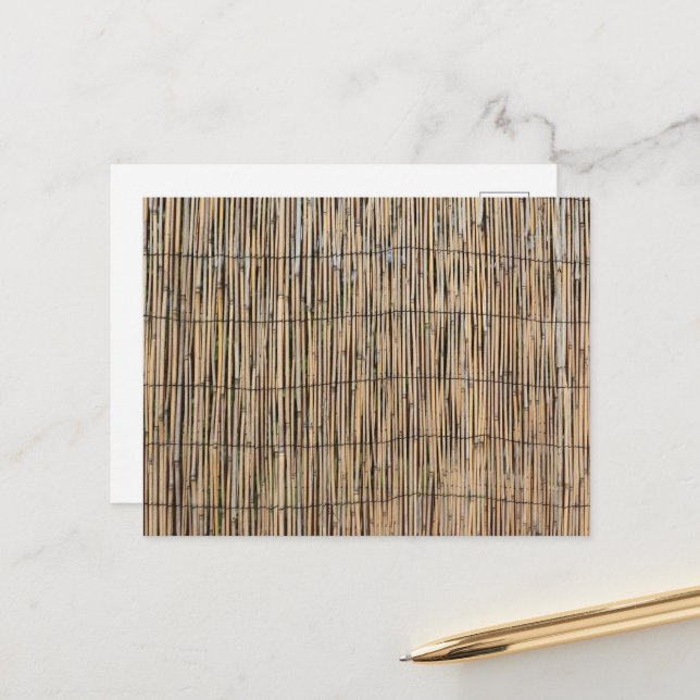 Cartão Postal Bambu (Frente/Verso In Situ)