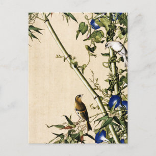 Cartão Postal Bambu Antigo e Arte de Ipoméia Azul