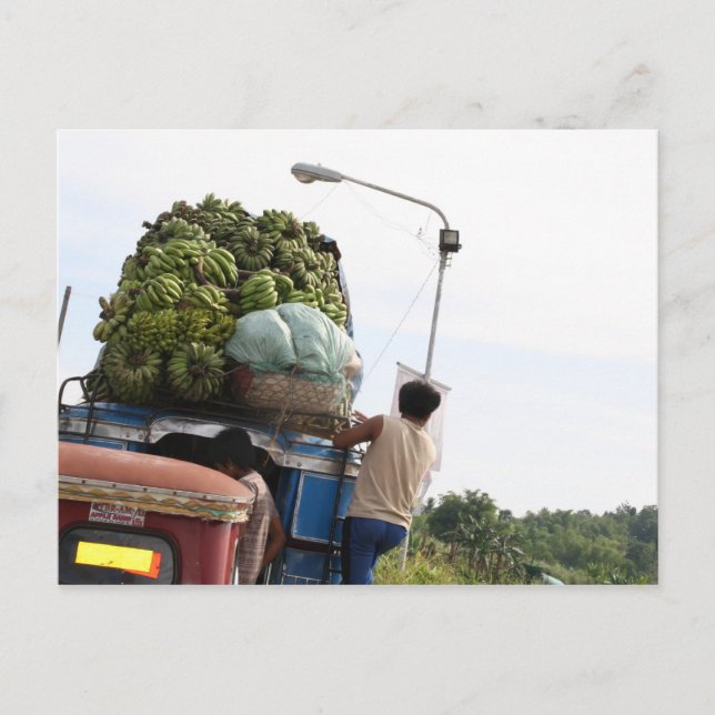 Cartão Postal Bananas (Frente)