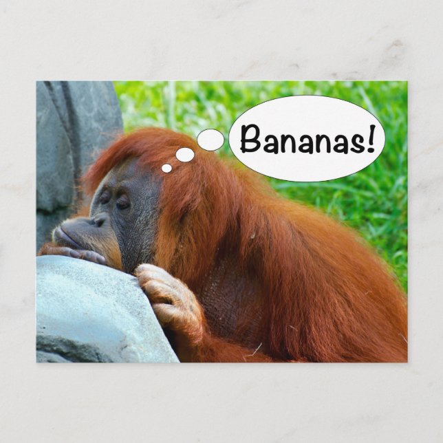 Cartão Postal Bananas! (Frente)
