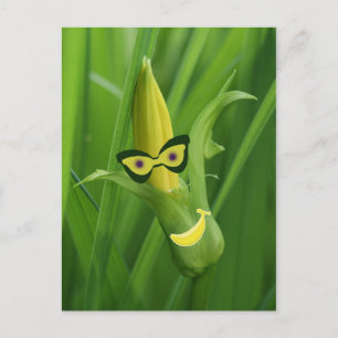 Cartão Postal bananas