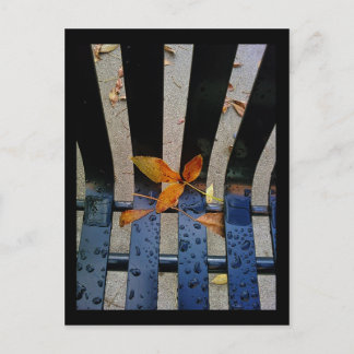 Cartão Postal bancada de outono