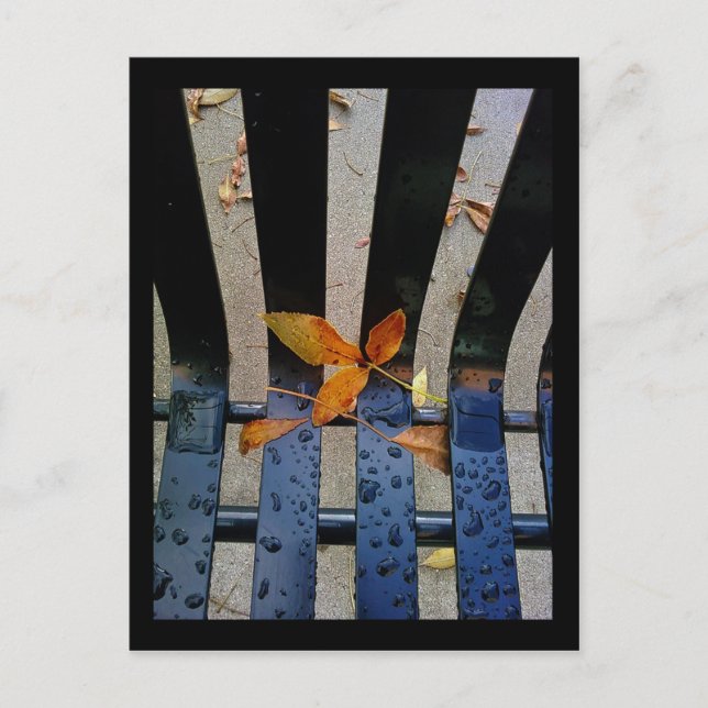 Cartão Postal bancada de outono (Frente)