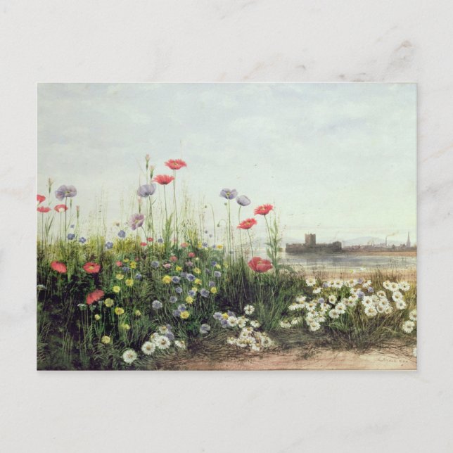Cartão Postal Banco de flores do verão (Frente)