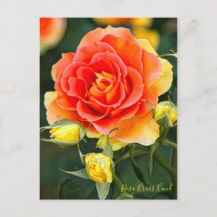 Cartão Postal Banda Rosa Brass [Cartão postal]