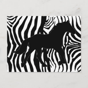 Cartão Postal Bandas De Zebra Pretas E Brancas