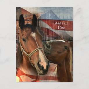 Cartão Postal Bandeira Americana do Barão Russo do Cavalo