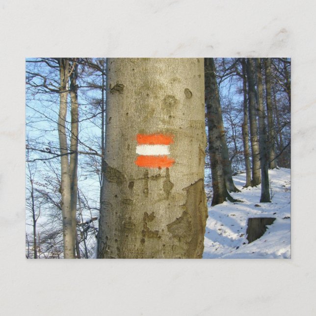 Cartão Postal bandeira áustria inverno (Frente)