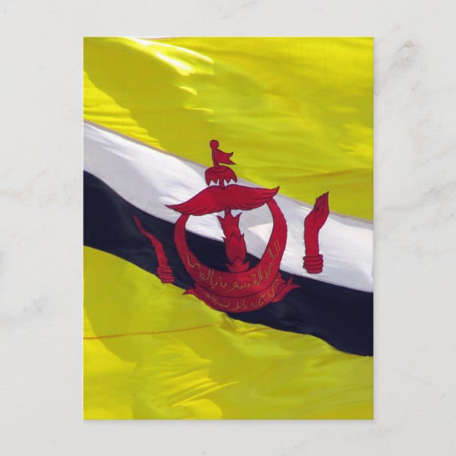 Cartão Postal bandeira brunei (Frente)
