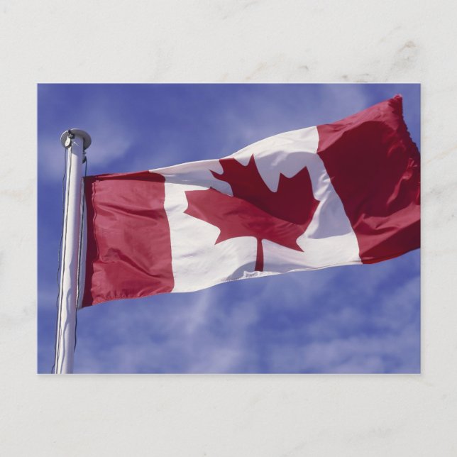 Cartão Postal bandeira canadense (Frente)
