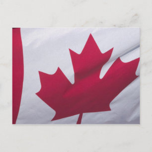 Cartão Postal Bandeira Canadense.