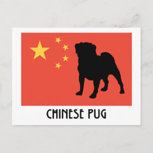 Cartão Postal Bandeira Chinesa com Pug