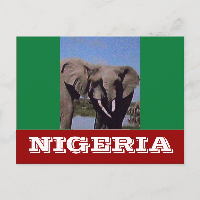 Cartão Postal Bandeira da Nigéria (Frente)